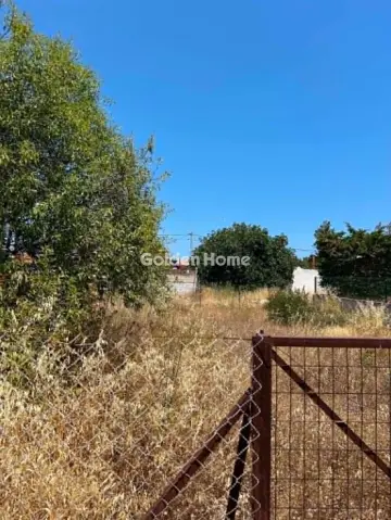 Οικιστικό 226τ.μ. προς πώληση φωτογραφία 5529021