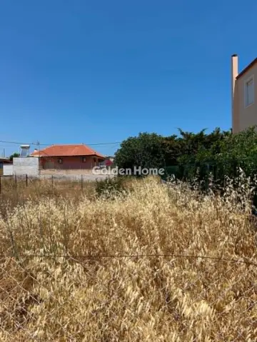 Οικιστικό 226τ.μ. προς πώληση φωτογραφία 5529021