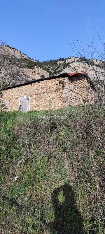 Residential 500m<sup>2</sup> for sale photo 6