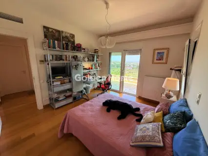 Μονοκατοικία 550τ.μ. προς πώληση φωτογραφία 29