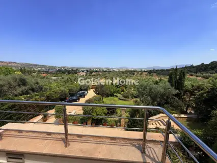 Μονοκατοικία 550τ.μ. προς πώληση φωτογραφία 4