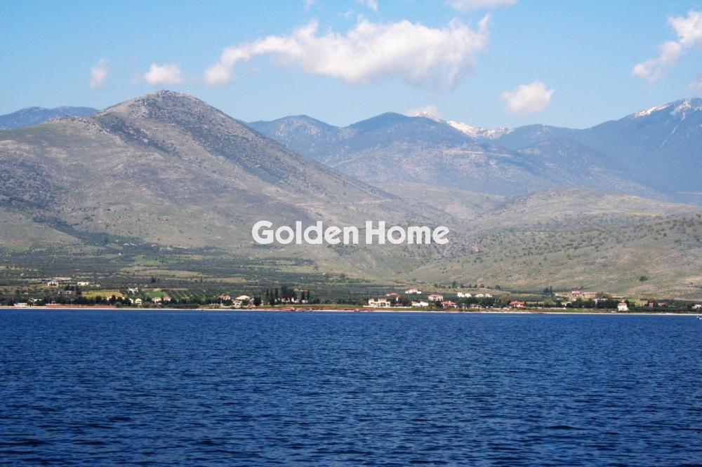 Αγροτεμάχιο στην Κέντρο, Γαλαξίδι — Φωτογραφία 1 από 2