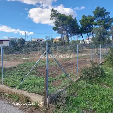 住宅 320m<sup>2</sup> for sale photo 3