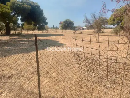 Οικιστικό 920τ.μ. προς πώληση φωτογραφία 5616934