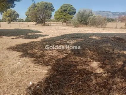 Οικιστικό 920τ.μ. προς πώληση φωτογραφία 5616934