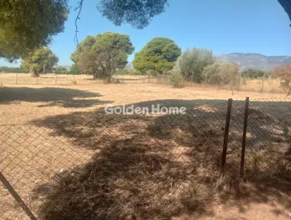 Οικιστικό 920τ.μ. προς πώληση φωτογραφία 5616936