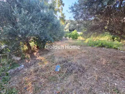 House 260m<sup>2</sup> for sale photo 28