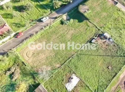 Residential 1000m<sup>2</sup> for sale photo 5