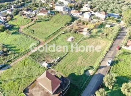 Residential 1000m<sup>2</sup> for sale photo 6