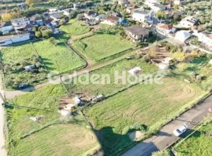 Residential 1000m<sup>2</sup> for sale photo 12