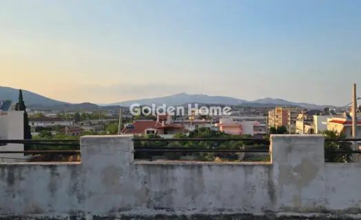 Μονοκατοικία 300τ.μ. προς πώληση φωτογραφία 1