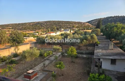 Μονοκατοικία 300τ.μ. προς πώληση φωτογραφία 4