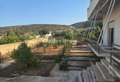Μονοκατοικία 300τ.μ. προς πώληση φωτογραφία 3