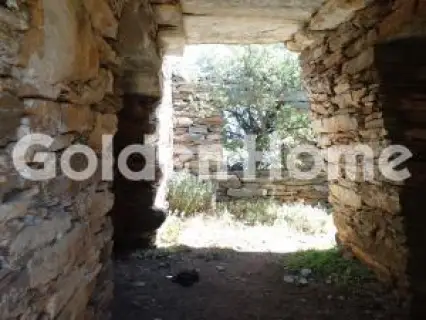 Μονοκατοικία 100τ.μ. προς πώληση φωτογραφία 5536272