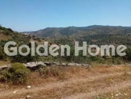 Μονοκατοικία 100τ.μ. προς πώληση φωτογραφία 5536277