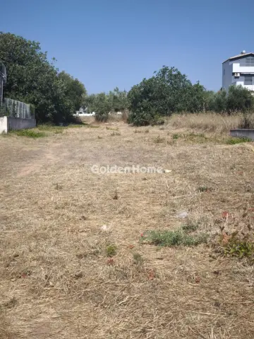 Οικιστικό 960τ.μ. προς πώληση φωτογραφία 5540054