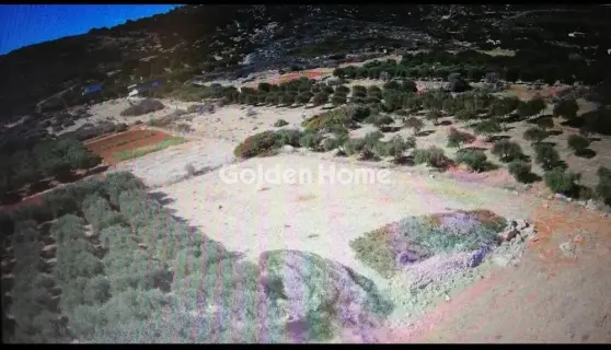 Residential 1135m<sup>2</sup> for sale photo 1