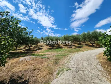 Residence complex 193m<sup>2</sup> for sale photo 5546395