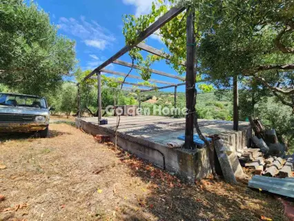 Residence complex 193m<sup>2</sup> for sale photo 5546402