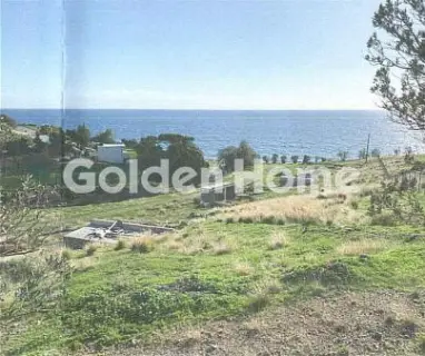 Professional Plot 11960m<sup>2</sup> for sale photo 4