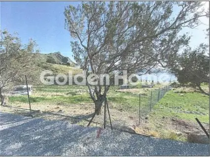 Professional Plot 11960m<sup>2</sup> for sale photo 5
