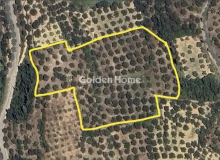 Residential 15500m<sup>2</sup> for sale photo 5545315