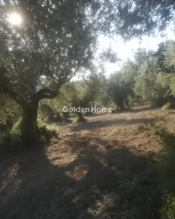 Residential 18205m<sup>2</sup> for sale photo 5545380