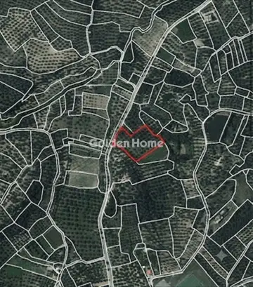 住宅 6492m<sup>2</sup> for sale photo 5545442
