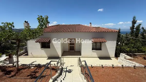 House 160m<sup>2</sup> for rent photo 7