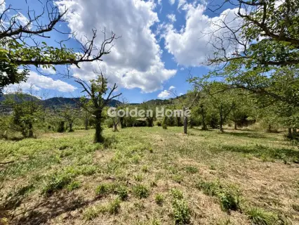 House 120m<sup>2</sup> for sale photo 2