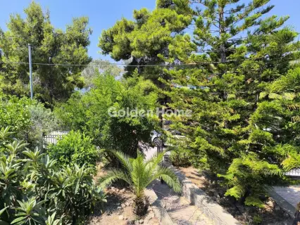 House 130m<sup>2</sup> for sale photo 5546787