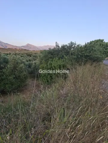 Residential 5115m<sup>2</sup> for sale photo 5600023