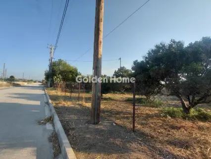 Residential 1250m<sup>2</sup> for sale photo 4