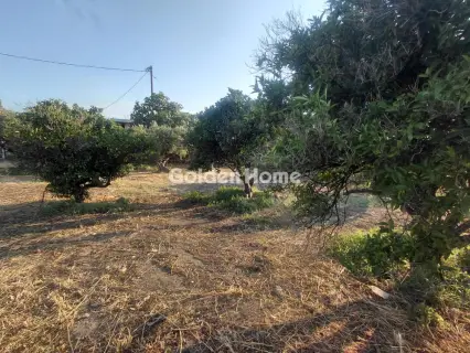 Residential 1250m<sup>2</sup> for sale photo 8