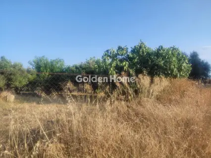 Residential 1250m<sup>2</sup> for sale photo 24