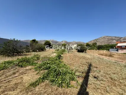 Residential 2000m<sup>2</sup> for sale photo 5562810
