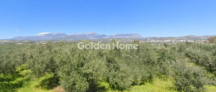 住宅 5394m<sup>2</sup> for sale photo 5551940