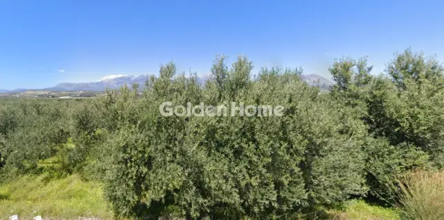 住宅 5394m<sup>2</sup> for sale photo 5551941