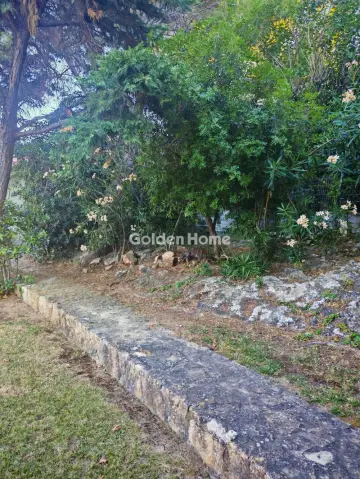 Floor Maisonette 185m<sup>2</sup> for rent photo 5557545