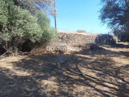 Residential 1093m<sup>2</sup> for sale photo 3
