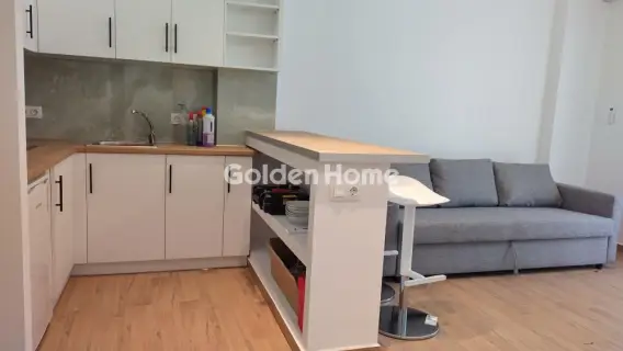 Apartment 45m<sup>2</sup> for rent photo 3