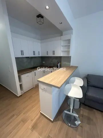 Apartment 45m<sup>2</sup> for rent photo 2