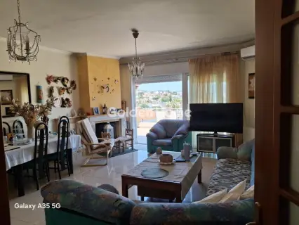 Μονοκατοικία 310τ.μ. προς πώληση φωτογραφία 1