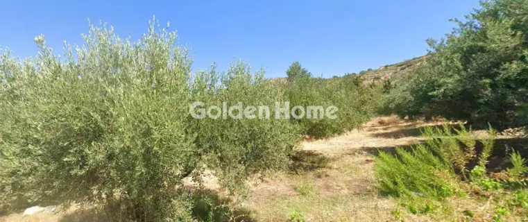 Residential 700m<sup>2</sup> for sale photo 5559383