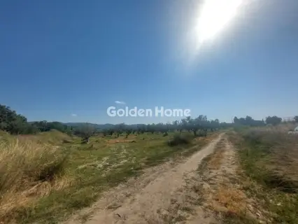 Οικιστικό 11500τ.μ. προς πώληση φωτογραφία 5562767