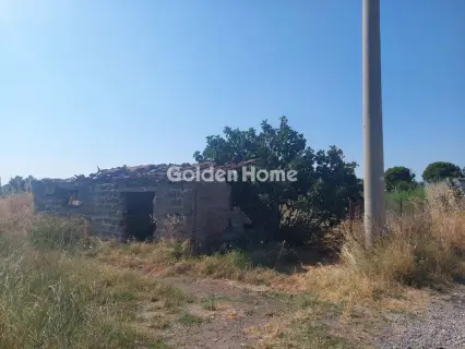 Οικιστικό 11500τ.μ. προς πώληση φωτογραφία 5562768