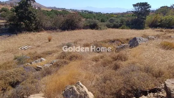 Αγροτεμάχιο 13700τ.μ. προς πώληση φωτογραφία 5558648