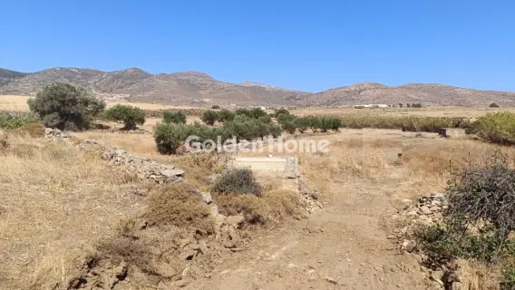 Αγροτεμάχιο 13700τ.μ. προς πώληση φωτογραφία 5558647