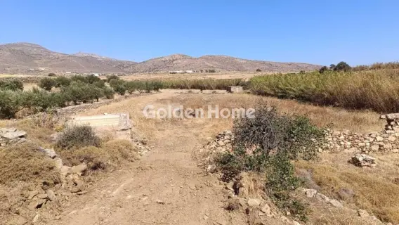 Αγροτεμάχιο 13700τ.μ. προς πώληση φωτογραφία 5558649