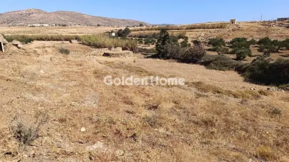 Αγροτεμάχιο 13700τ.μ. προς πώληση φωτογραφία 5558645